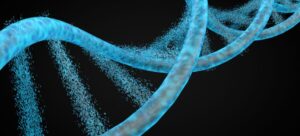 Genetics and Stretch Marks: Is There a Connection?